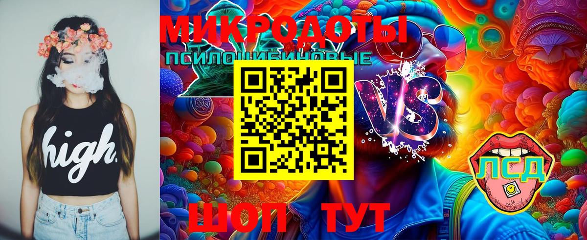 сколько стоит  Галлюциногенные грибы Psilocybine cubensis  Вход с VPN  Пушкино 